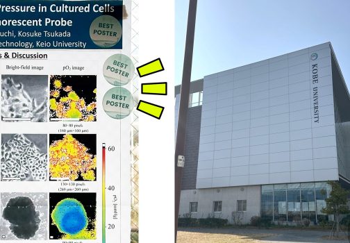 ICBBB2026にて研究成果を発表しました