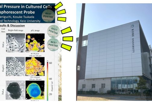 ICBBB2026にて研究成果を発表しました